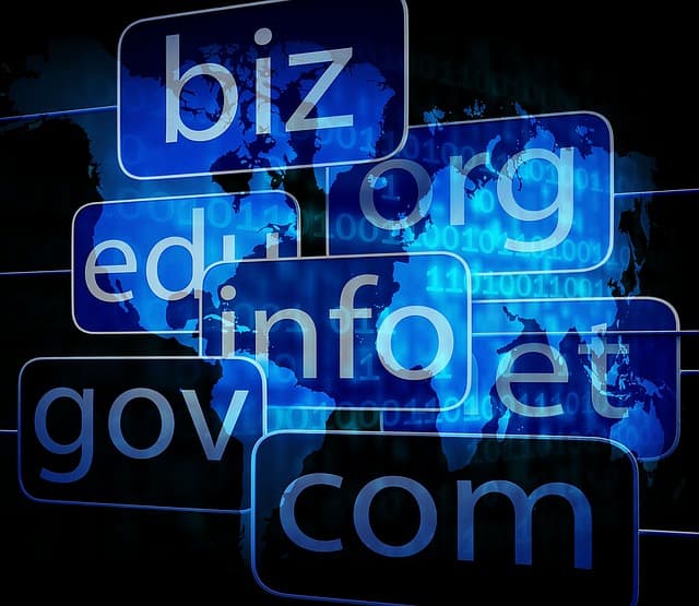 domain name investment